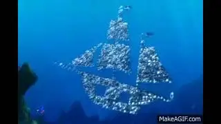 Finding Nemo the musical moonfish marlin Dory Bruce chum anchor Flickr just keep swimming 