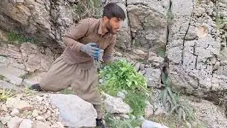 Nomadic Life of Iran | Crossing Impassable Roads to Feed Their Sheep ⛰️🐐