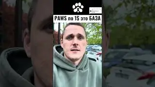 Paws по 1$? База? 😄 #paws #crypto #memhustle #listing #telegram