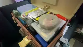 Organizando mi equipo de pesca