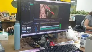 CuddlePaws TV ~ Content Creation & Production Process | The Best Content for Relaxing Music