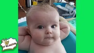 Try Not To Laugh - Funny Videos 2019 - Best Clean Vines compilation in 30 minutes