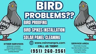 Solar Panel Bird Proofing in Cherry Valley / Critter Guard for Solar Panel in Cherry Valley CA