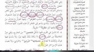 الوحدة الرابعة - جنة على الارض - بولى 10 - م. سيروان عبدالرحمن