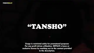 Odunsi x Cruel Santino x Fuji Alt&eacute; Type beat 2025 - &ldquo;Tansho&rdquo; | Afrobeat Alt&eacute; Instrumental 