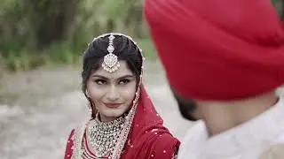 Wedding Highlight 2025