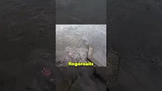Мужчина нашел руку во время рыбалки (@5050fishing)