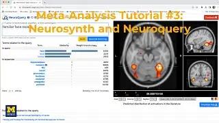 fMRI Meta-Analysis Tutorial #3: Neurosynth & Neuroquery