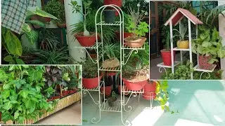 All My Plant Stands with Prices || Fun Gardening
