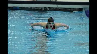 Realistic Diving Progress for Adults