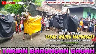 TARI BARONGAN 🔴 EBEG SEKAR WAHYU MANUNGGAL 🔴 LIVE TUMANGGAL KEC PENGADEGAN PURBALINGGA #barongan