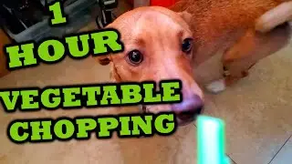 ASMR 1 Hour Compilation #04 | Vegetable Chopping Channel