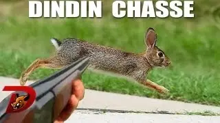 Chasse petit gibier : ouverture 2013-2014