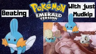 Too much water!! destroying Pokemon Emerald with just Mudkip , U LIEK MUDKIPZ (no item solo)