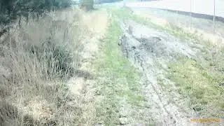 segway 600