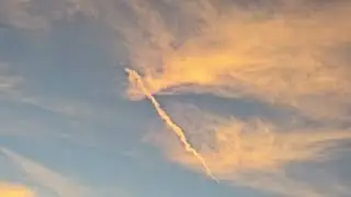ANGEL HARP