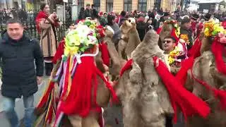Festivalul de Datini Botoșani 2025-2026!❤️👏