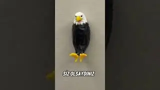t&uuml;rk takımının oyuncağı MEŞHUR OLDU🇹🇷⚽