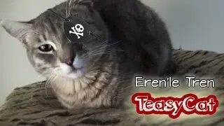 Eren'le Tren - Kaptan Jax