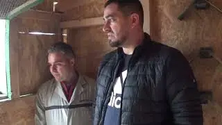 Columbofil dl Flavius Gheorghe Targsoru Vechi Prahova Romania femele de zbor 22 decembrie 2023