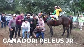 PELEUS JR VS BRAULIO VS CARNICERA