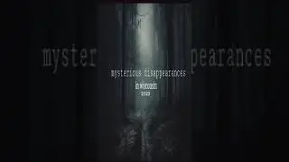 Mysterious disappearances in Wisconsin 2023