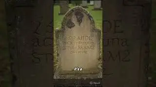 UNDERTAKER 