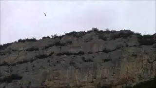 VAUTOUR