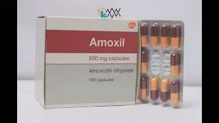 amoxicillin explained