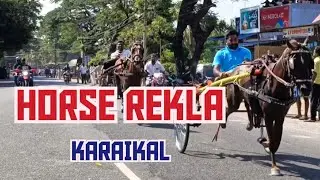 HORSE REKLA AT KARAIKAL karaikal carnival special.