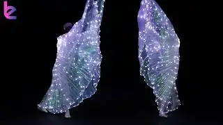 Lite Ballerinas | LED Ballet Dancers | Christmas Entertainment