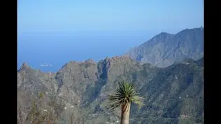 TENERIFE-25.  Заповедник АНАГА, горы и лес в одном флаконе, заключительная часть
