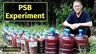 Our Photosynthetic Bacteria Discovery: The Pure Water Experiment