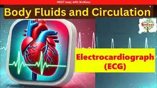 Electrocardiograph | ECG Electrocardiogram Electrical activity Standard ECG Pwave QRS complex Twave