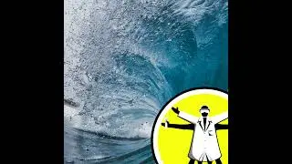 Trick or treaty: the high seas agreement