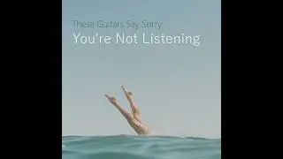 The Trains Run On Time &mdash; These Guitars Say Sorry | Unplugged Acoustic , Storytelling Folk