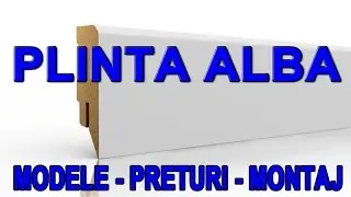 Plinta alba