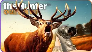 Epic Trophy Hunt: Big Red Deer vs Malmer 7mm Magnum! COTW