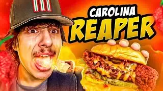 I Tried Daves Hot Chicken Carolina Reaper Sandwich (BIG Mistake)