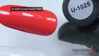 B.S. Hybrid Polish code: U- 1025