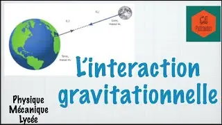 L'Interaction gravitationnelle