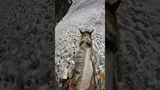 Khatrnak Glaciers Par Horse Ride Karne Chahia Ya Nhn?  #travelpakistan #pakjourney #travel