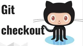 git checkout with multiple options
