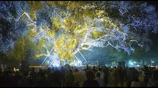 Melodic House Live Set | Beyond Binary X Cultural Circuit | Heritage Music Festival | Mandav | DJ