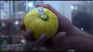 Zucchiolo en Agrosfera TVE