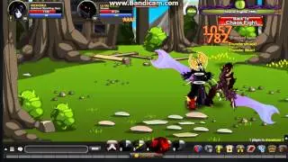 AQW killing ultra chaos boss SOLO