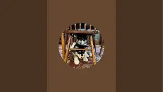 Ski With Moose The Giant Malamute #live #dog #sports
