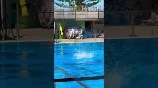 Pan Pacific master games 2022 ￼