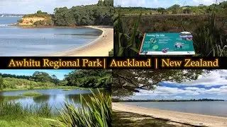Awhitu Regional Park | Auckland | New Zealand #park #aucklandcity #newzealand #nature #naturelovers