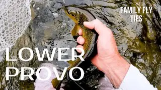 Fly Fishing Utah - Successful Fishing Lower Provo River